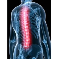Physician Mailing List By Specialty - Chiropractors