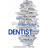 Physician Mailing List By Specialty - Dentists
