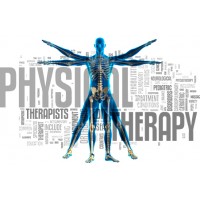 Physician Mailing List By Specialty - Physical Therapists