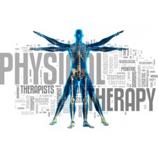 Physician Mailing List By Specialty - Physical Therapists