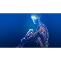 Physician Mailing List By Specialty - Radiologists