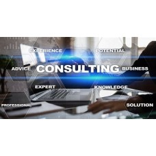 Consulting Fee (15 minutes)